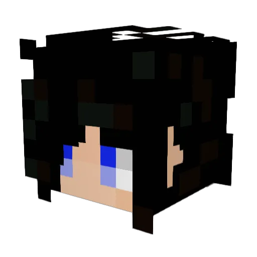 alon13579 Minecraft avatar head, 3D render