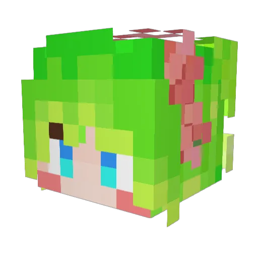alon5 Minecraft avatar head, 3D render