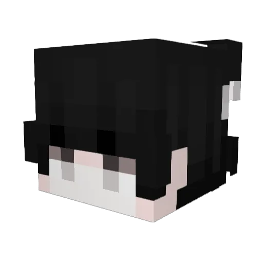 alone94267394762 Minecraft avatar head, 3D render