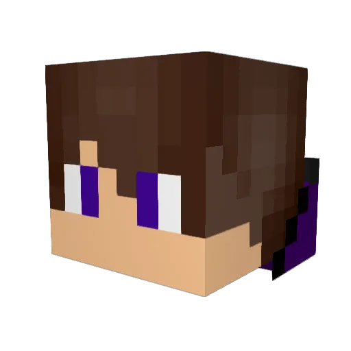 alonsodan1819 Minecraft avatar head, 3D render