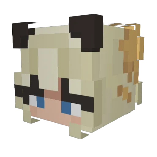 aloopty Minecraft avatar head, 3D render