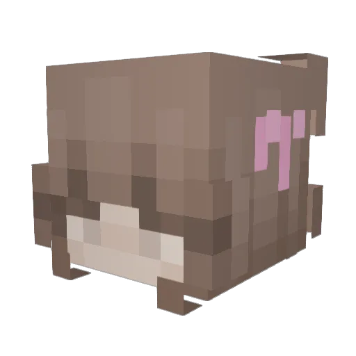 aloviqra Minecraft avatar head, 3D render