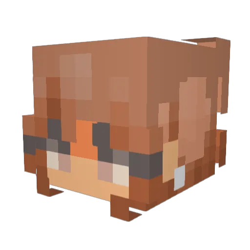 aloware Minecraft avatar head, 3D render