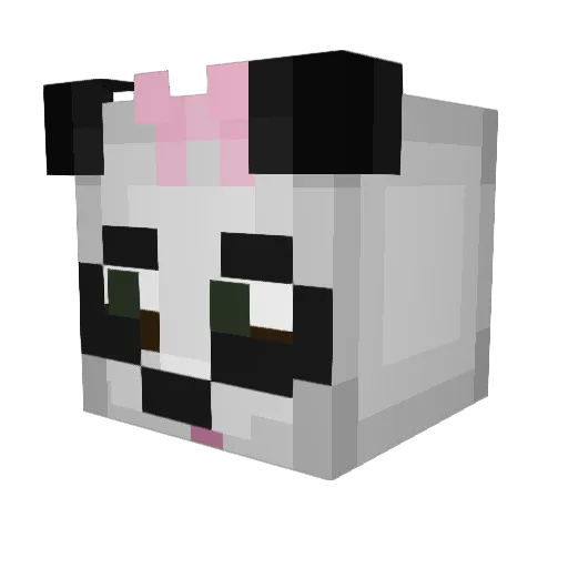 alpacapoopypants Minecraft avatar head, 3D render