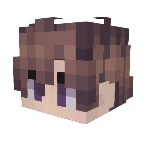 alpagus Minecraft avatar head, 3D render
