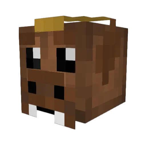 alpal108 Minecraft avatar head, 3D render