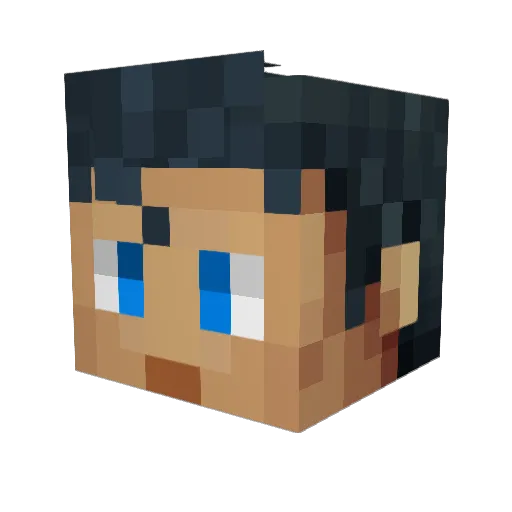 alpal98 Minecraft avatar head, 3D render