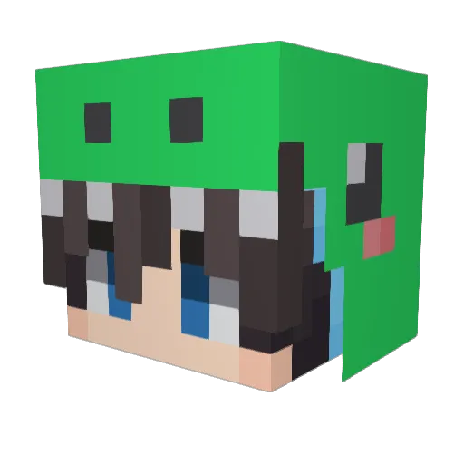 alpapopo Minecraft avatar head, 3D render
