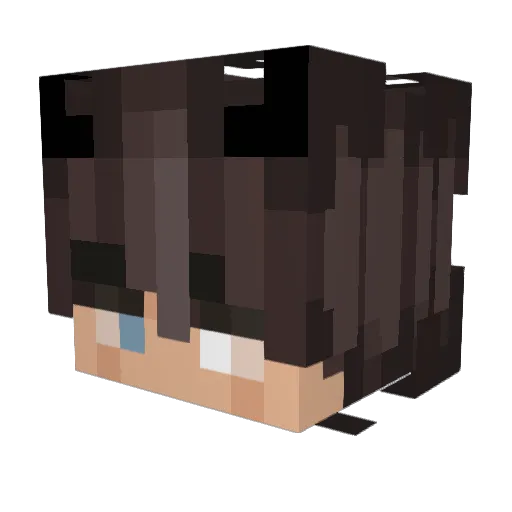 alparslan001 Minecraft avatar head, 3D render