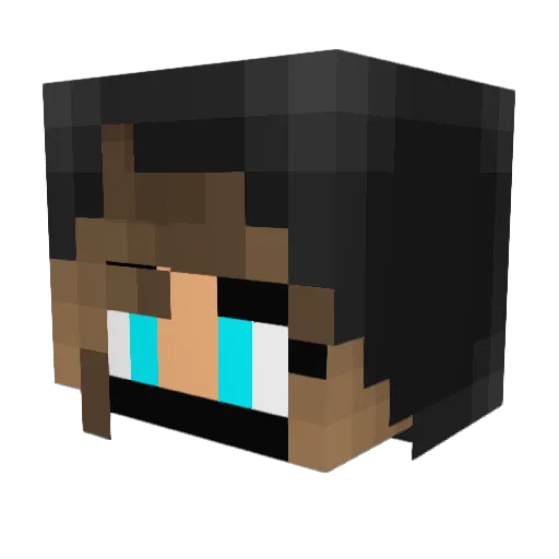 alpha1001 Minecraft avatar head, 3D render