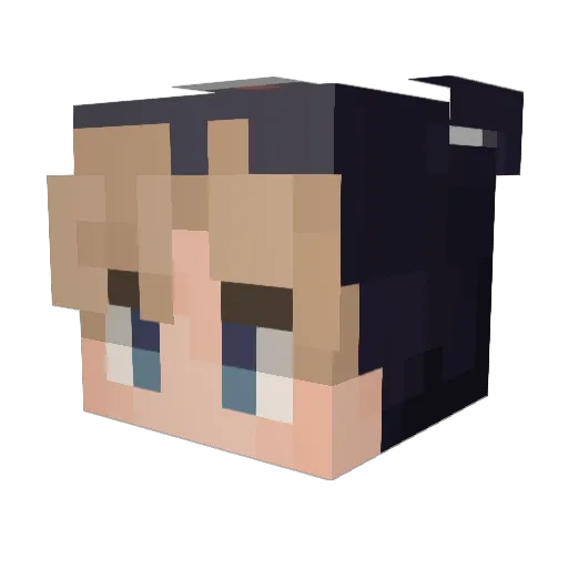 alphacat2 Minecraft avatar head, 3D render