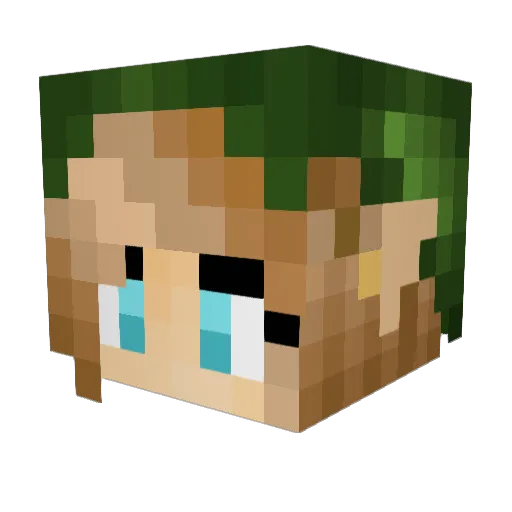alphaleader2000 Minecraft avatar head, 3D render
