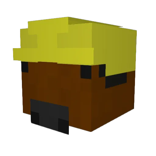alpkarakurt01 Minecraft avatar head, 3D render