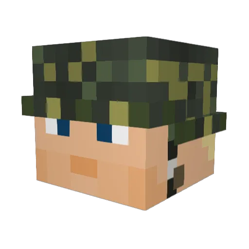 already_exists0 Minecraft avatar head, 3D render