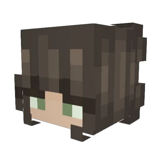 alreadygonehome Minecraft avatar head, 3D render