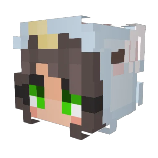 alrightana Minecraft avatar head, 3D render