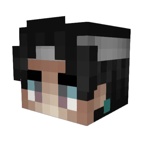 alsKarbone Minecraft avatar head, 3D render