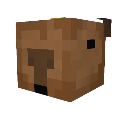 alsdn10101 Minecraft avatar head, 3D render
