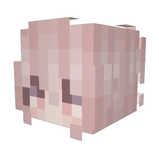 alskn Minecraft avatar head, 3D render