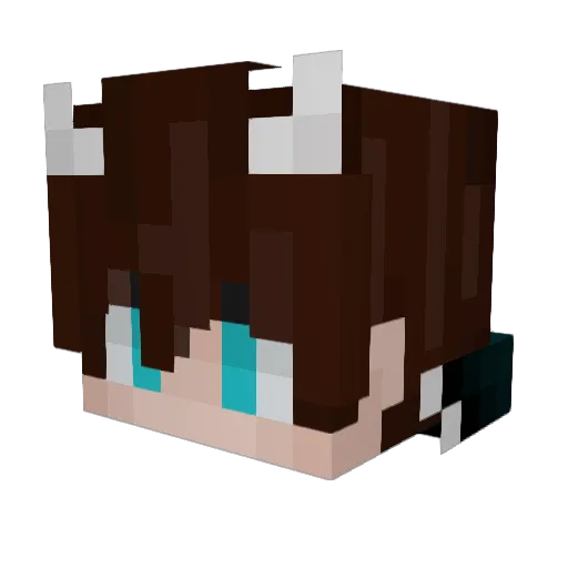 also_AwA Minecraft avatar head, 3D render