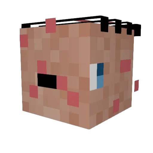 alsobjzStephan Minecraft avatar head, 3D render
