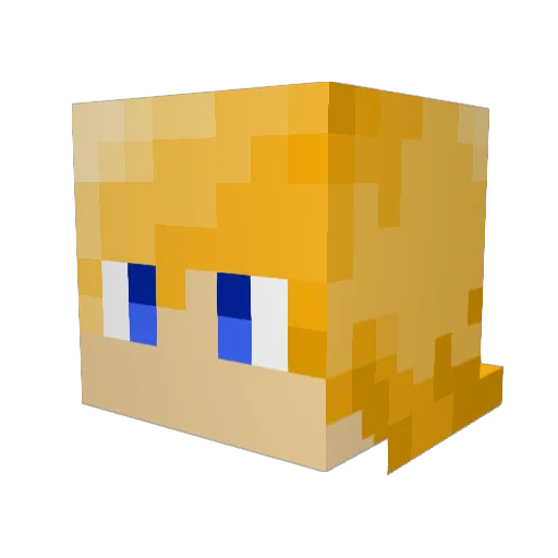 alsojoetarot Minecraft avatar head, 3D render