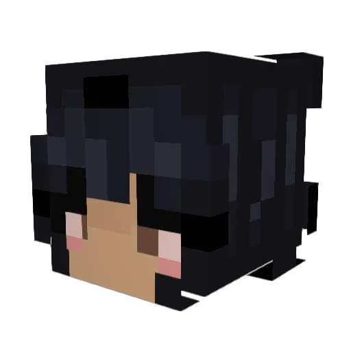 altoidbar Minecraft avatar head, 3D render