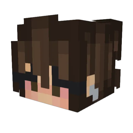 altpup22 Minecraft avatar head, 3D render