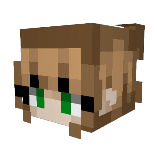 altzupalzu Minecraft avatar head, 3D render
