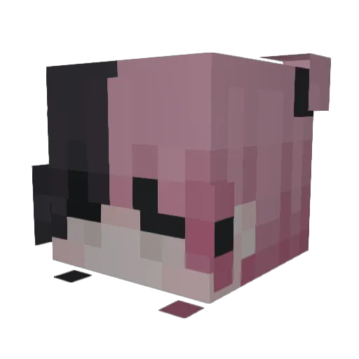aluscash Minecraft avatar head, 3D render
