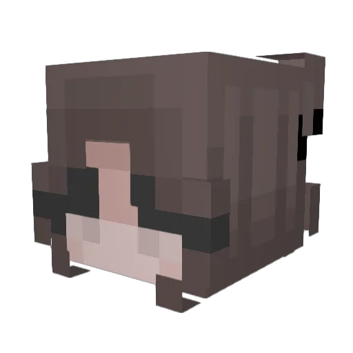 alutka3 Minecraft avatar head, 3D render