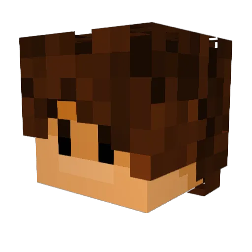 alveloss Minecraft avatar head, 3D render