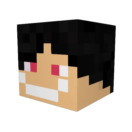 alvin55531 Minecraft avatar head, 3D render