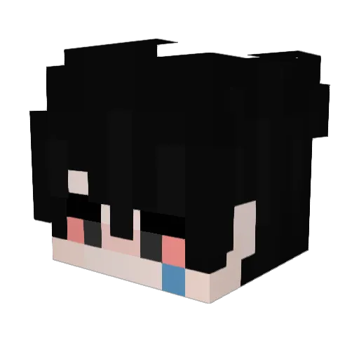 alwaaysForever Minecraft avatar head, 3D render