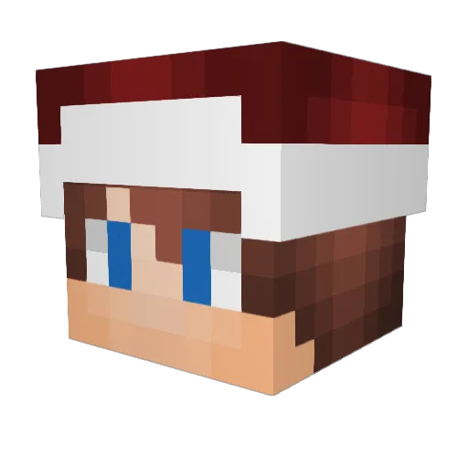 alwaysPurpleHaze Minecraft avatar head, 3D render