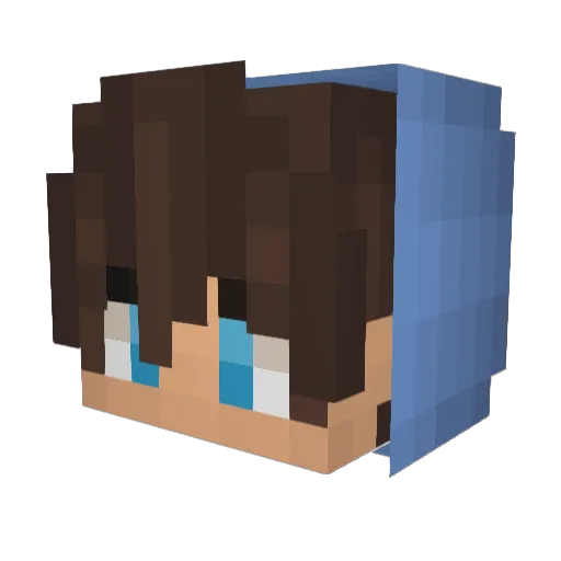 alwaysfrog247 Minecraft avatar head, 3D render