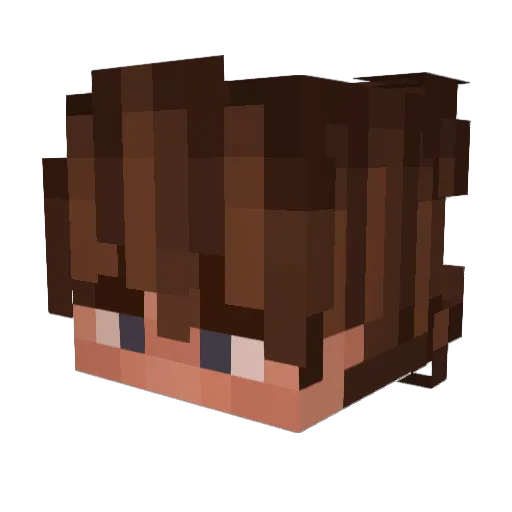 alwaysnic Minecraft avatar head, 3D render