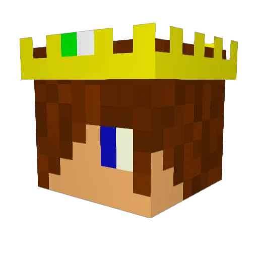 alwaysniekyolo Minecraft avatar head, 3D render