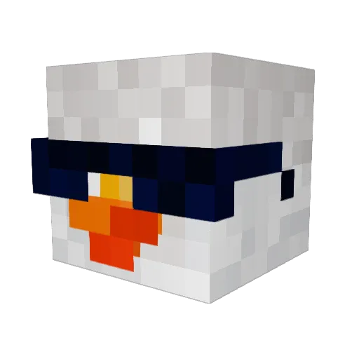 alwayssRoo Minecraft avatar head, 3D render