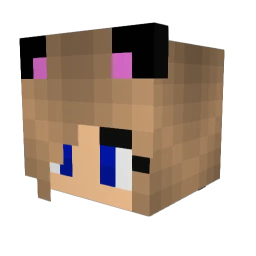 alwayssunny11 Minecraft avatar head, 3D render