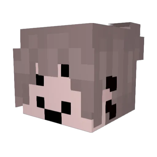 alwnso Minecraft avatar head, 3D render