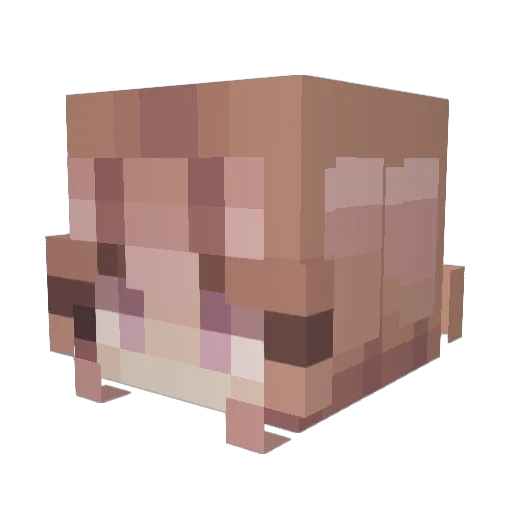 alxjeon Minecraft avatar head, 3D render