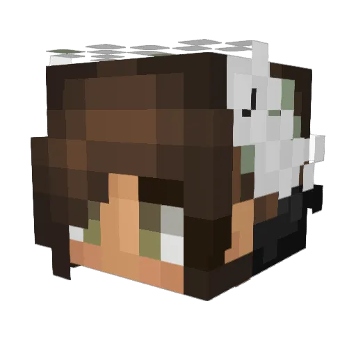 alyak0120 Minecraft avatar head, 3D render