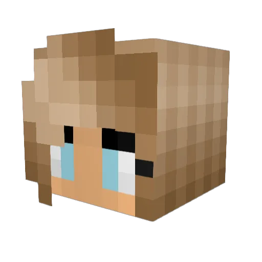 alycat03 Minecraft avatar head, 3D render