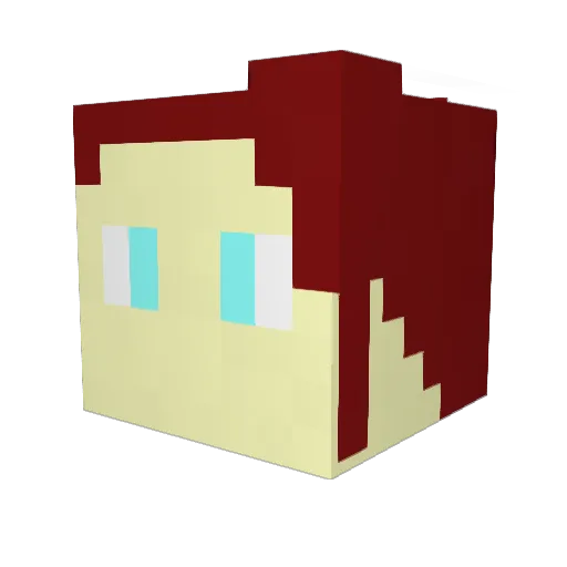 alyce255192224 Minecraft avatar head, 3D render