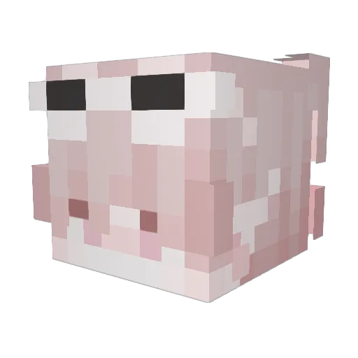 alylly Minecraft avatar head, 3D render