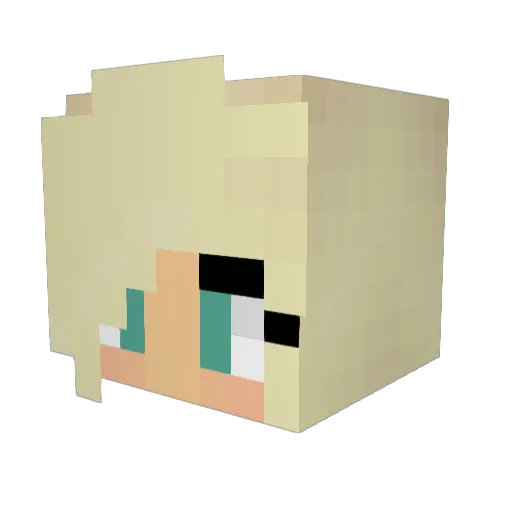 alynini17 Minecraft avatar head, 3D render