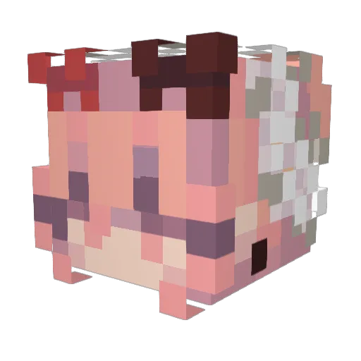 alyraaa Minecraft avatar head, 3D render