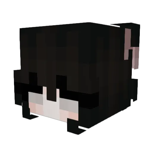 alysans Minecraft avatar head, 3D render
