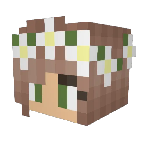 alyssaboo Minecraft avatar head, 3D render